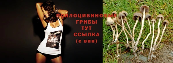 наркотики Алзамай